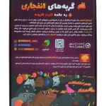 بازی-ایرانی-گربه-های-انفجاری-پلاس-explodings-kittens-plus-1